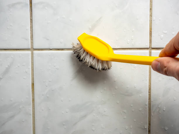 Best Water Damage Restoration  in Georgetown, SC