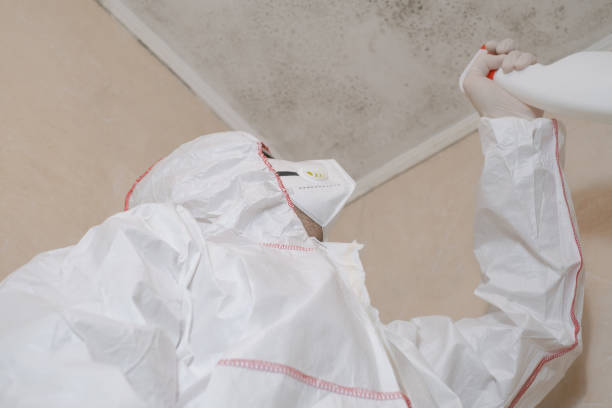 Crawl Space Mold Removal in Georgetown, SC